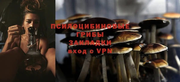 стафф Баксан